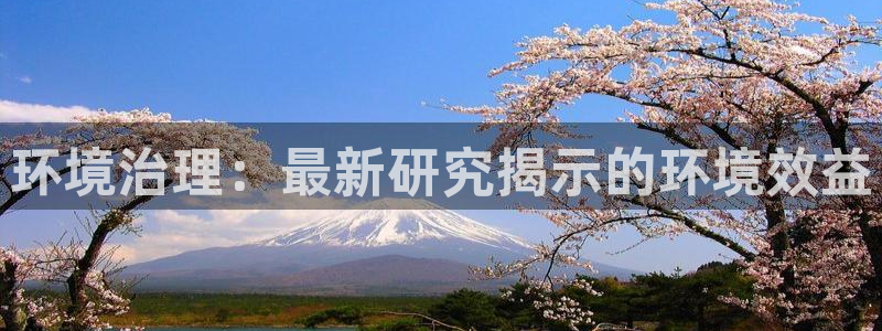 凯发k8官网下载客户端中心：环境治理：最
