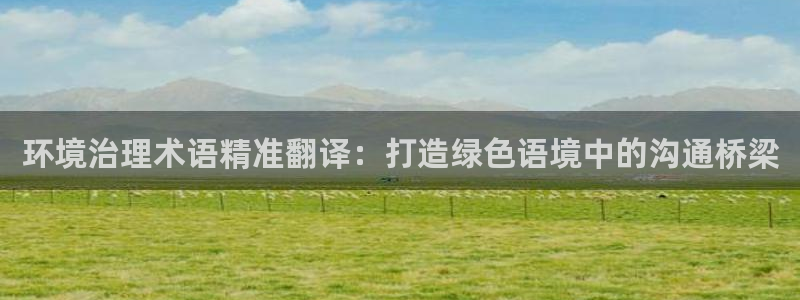k8凯发：环境治理术语精准翻译：打造绿色语境中的沟通桥梁