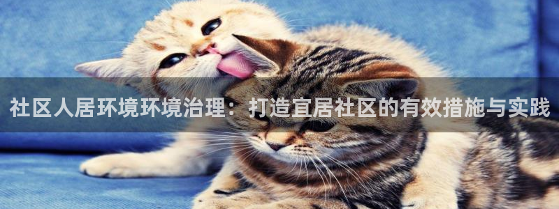 凯发官方首页