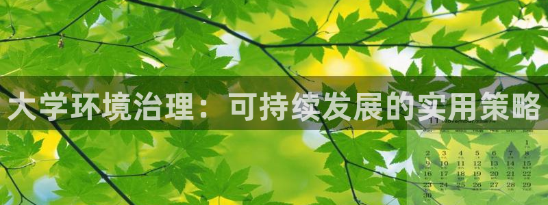 凯发k8国际(中国)官方网站·一触即发|大学环境治理：可持续发展的实用策略