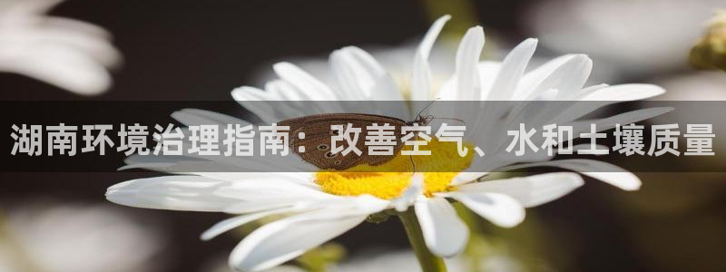 k8凯发中国|湖南环境治理指南：改善空气