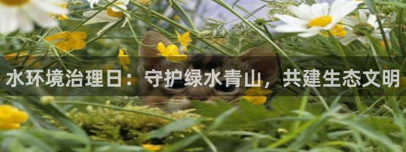 凯发k8官网备用网址|水环境治理日：守护