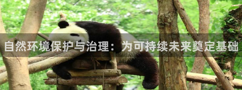 凯发k8国际首页登录|自然环境保护与治理：为可持续未来奠定基础