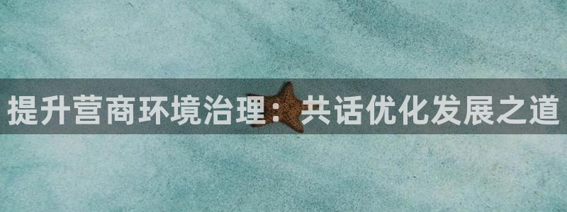k8凯发|提升营商环境治理：共话优化发展