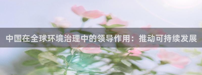 中国在全球环境治理中的领导作用：推动可持