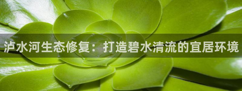 k8凯发|泸水河生态修复：打造碧水清流的宜居环境