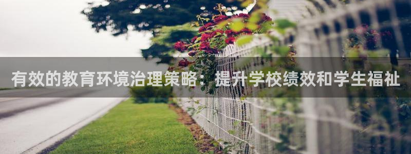 k8凯发|有效的教育环境治理策略：提升学校绩效和学生福祉